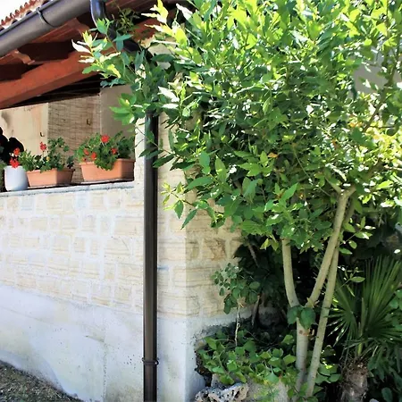 Apartman Monte Rudina *
